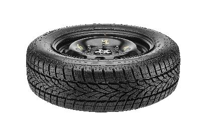 Star Performer SPTS (Winter AS)